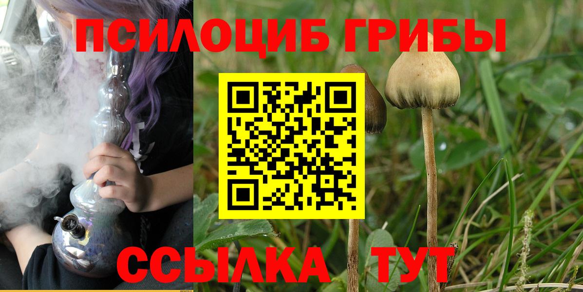 Камышлов  Псилоцибиновые грибы Magic Shrooms  Псилоцибиновые грибы Magic Shrooms  Вход с VPN 